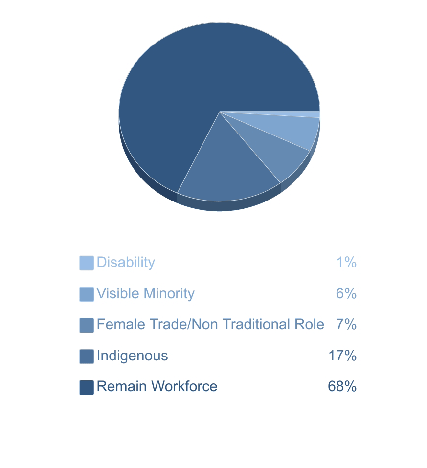 Pie chart graph showing the diversity break down of dynamo workforce showing 17% are indigenous, 6% are visible minority, 7% are female in none traditional roles.